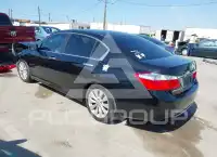 2013 Honda Accord photo