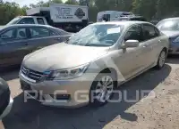 2013 Honda Accord photo
