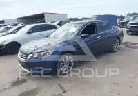 2013 Honda Accord photo