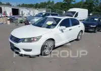 2013 Honda Accord photo