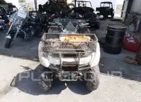 2013 Honda TRX420 photo