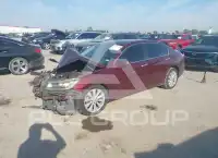 2013 Honda Accord photo