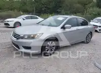2013 Honda Accord фото