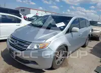 2013 Honda ODYSSEY фото