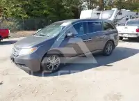 2013 Honda ODYSSEY фото