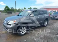 2013 Lexus GX460 фото