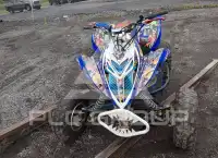 2013 Yamaha YFM700 photo