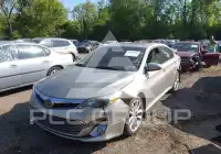 2013 Toyota AVALON фото