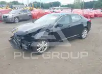 2013 KIA Optima фото