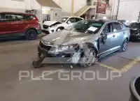 2013 KIA Optima фото