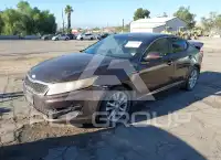 2013 KIA Optima photo