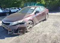 2013 KIA Optima фото
