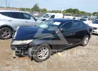 2013 KIA Optima фото