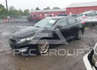 2013 KIA Optima фото