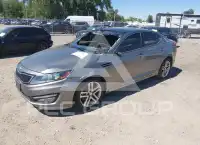 2013 KIA Optima фото
