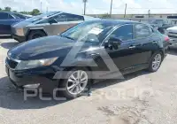 2013 KIA Optima фото