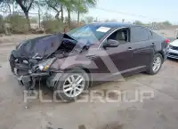 2013 KIA Optima фото