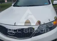 2013 KIA Sorento photo