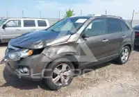 2013 KIA Sorento фото