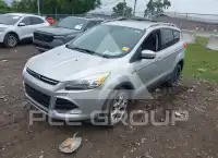 2013 Ford ESCAPE photo
