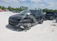 2013 Ford ESCAPE photo