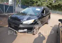 2013 Ford ESCAPE photo