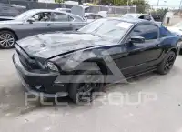 2013 Ford MUSTANG фото