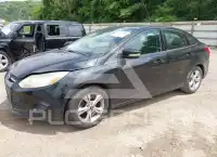 2013 Ford FOCUS фото