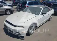 2013 Ford MUSTANG фото