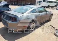 2013 Ford MUSTANG photo