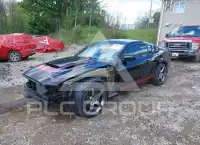 2013 Ford MUSTANG photo