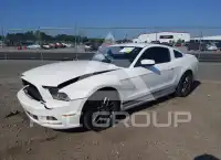 2013 Ford MUSTANG фото