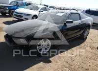 2013 Ford MUSTANG photo