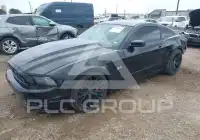 2013 Ford MUSTANG photo