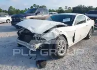 2013 Ford MUSTANG фото
