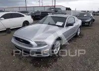 2013 Ford MUSTANG фото