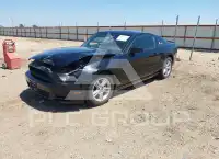 2013 Ford MUSTANG photo