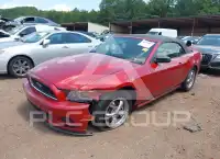 2013 Ford MUSTANG photo