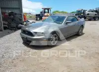 2013 Ford MUSTANG фото