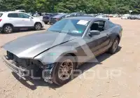 2013 Ford MUSTANG photo