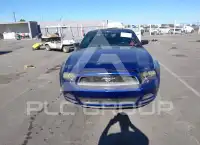 2013 Ford MUSTANG photo