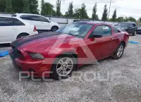 2013 Ford MUSTANG фото