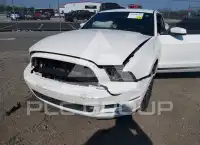 2013 Ford MUSTANG фото