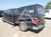 2013 Ford F-150 photo