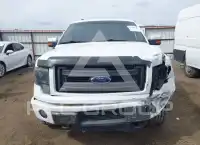 2013 Ford F-150 photo