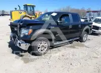 2013 Ford F-150 photo
