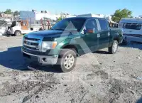 2013 Ford F-150 фото