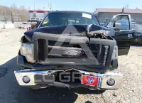 2013 Ford F-150 photo