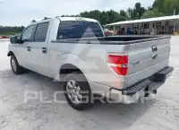 2013 Ford F-150 photo