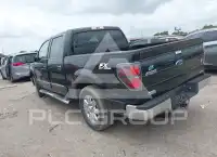 2013 Ford F-150 фото
